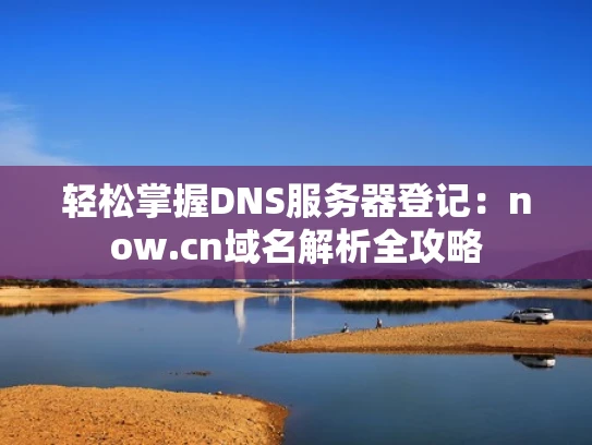 轻松掌握DNS服务器登记：now.cn域名解析全攻略