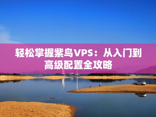轻松掌握紫鸟VPS：从入门到高级配置全攻略