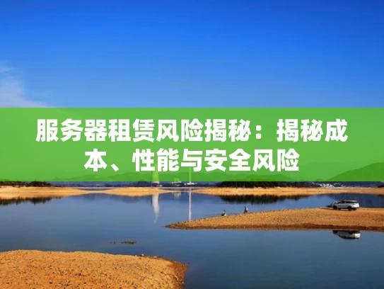 服务器租赁风险揭秘：揭秘成本、性能与安全风险