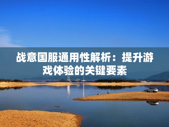 战意国服通用性解析：提升游戏体验的关键要素