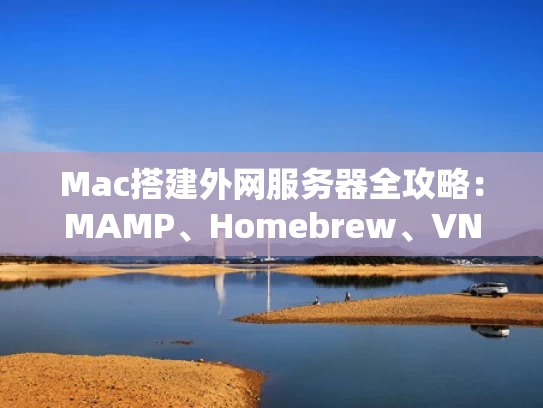Mac搭建外网服务器全攻略：MAMP、Homebrew、VNC一步到位