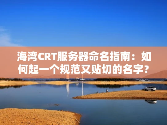海湾CRT服务器命名指南：如何起一个规范又贴切的名字？