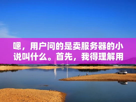 嗯，用户问的是卖服务器的小说叫什么。首先，我得理解用户的需求。他可能是在寻找小说的名字，可能是因为他正在写小说，或者只是好奇。我需要先分析这个问题，然后给出合适的回答