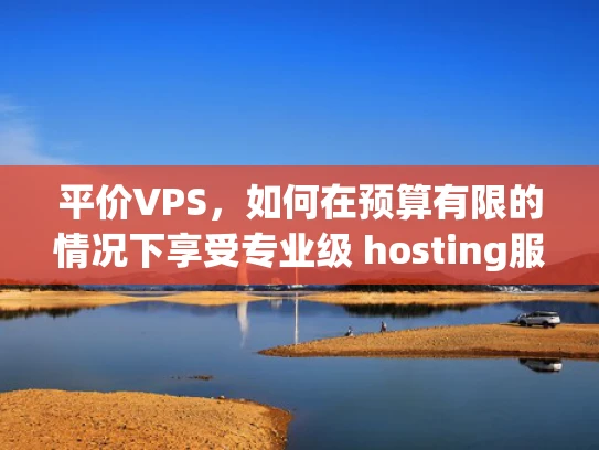 平价VPS，如何在预算有限的情况下享受专业级 hosting服务？