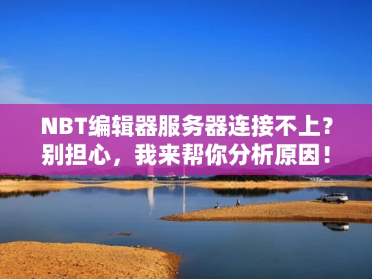 NBT编辑器服务器连接不上？别担心，我来帮你分析原因！