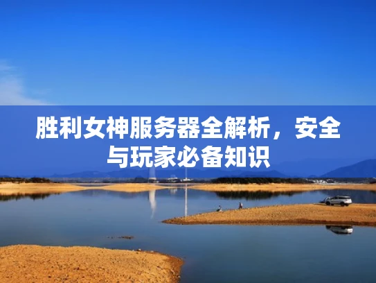 胜利女神服务器全解析，安全与玩家必备知识
