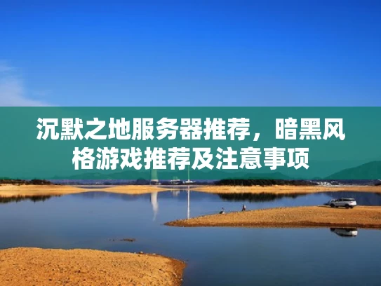 沉默之地服务器推荐，暗黑风格游戏推荐及注意事项