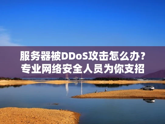 服务器被DDoS攻击怎么办？专业网络安全人员为你支招