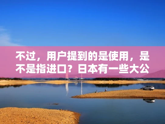 不过，用户提到的是使用，是不是指进口？日本有一些大公司，比如东芝、索尼，他们也有IT产品，可能提供服务器服务。不过，中国的服务器市场主要还是集中在自己的品牌上，像浪潮、中兴这些，应该占了很大比例
