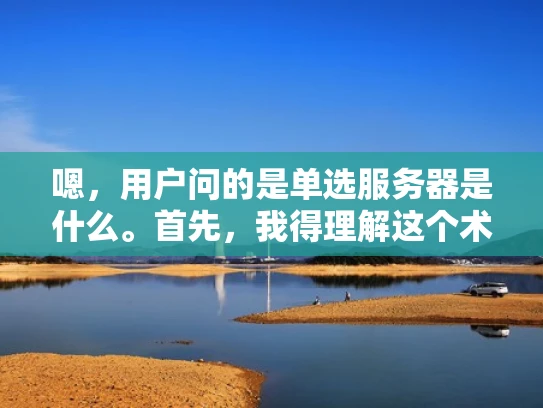 嗯，用户问的是单选服务器是什么。首先，我得理解这个术语。单选服务器，听起来像是服务器的一种选择方式，可能和负载均衡有关。用户可能在配置服务器或者优化网站性能时遇到相关问题，所以需要详细解释