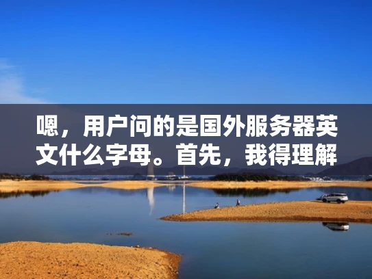 嗯，用户问的是国外服务器英文什么字母。首先，我得理解用户的问题。可能用户是在问国外服务器的英文名称，或者是指服务器的某些特性用字母表示。也有可能是想了解国外服务器的字母编码，比如域名中的字母