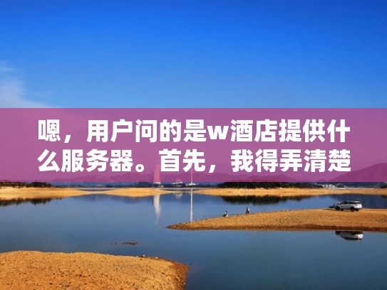 嗯，用户问的是w酒店提供什么服务器。首先，我得弄清楚用户到底想知道什么。可能他是个酒店业的人，或者是做网络服务的，想了解酒店的服务器配置。也有可能他是个普通用户，关心酒店的网络稳定性