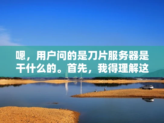 嗯，用户问的是刀片服务器是干什么的。首先，我得理解这个刀片是什么。可能用户对服务器不太熟悉，或者他们听说过刀片服务器这个词，但不太清楚具体用途