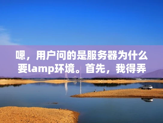 嗯，用户问的是服务器为什么要lamp环境。首先，我得弄清楚用户的具体背景。可能是一个刚开始接触服务器管理的新手，或者是对服务器配置不太了解的技术人员。不管怎样，他们想知道为什么lamp环境这么重要