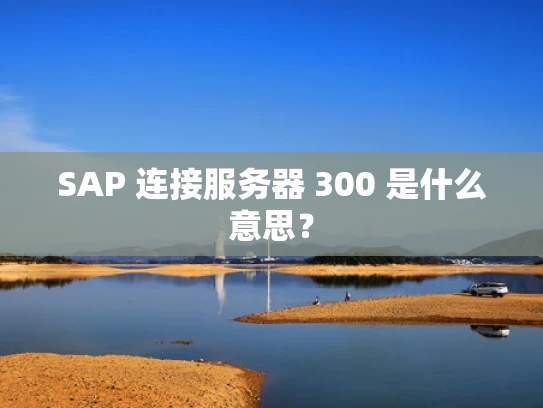 SAP 连接服务器 300 是什么意思？
