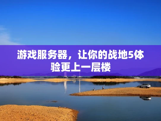 游戏服务器，让你的战地5体验更上一层楼