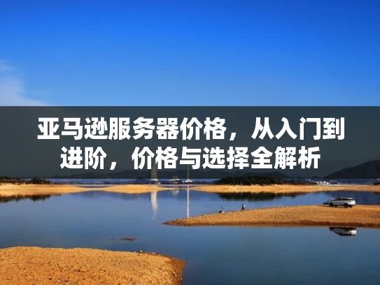 亚马逊服务器价格，从入门到进阶，价格与选择全解析