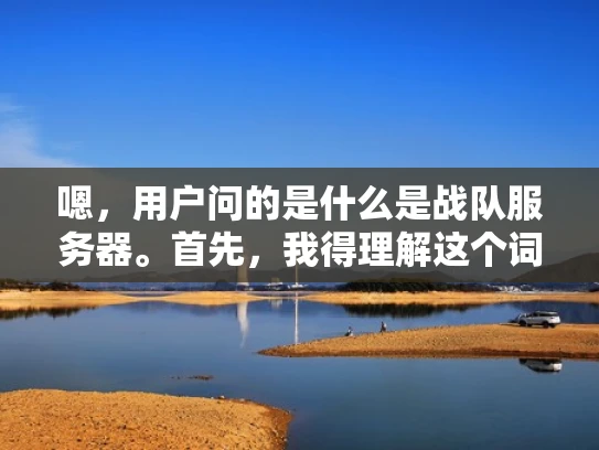 嗯，用户问的是什么是战队服务器。首先，我得理解这个词组的含义。战队服务器听起来像是和游戏有关的服务器，可能用于游戏组队或者比赛。但可能用户不太清楚具体是什么，所以需要详细解释