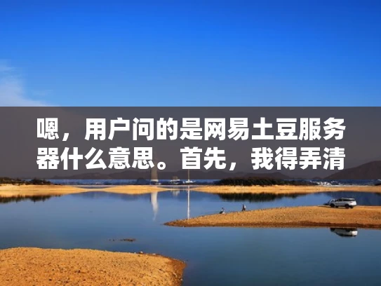 嗯，用户问的是网易土豆服务器什么意思。首先，我得弄清楚土豆服务器是什么。可能是指网易的土豆视频平台，但土豆视频好像已经停运了，所以更可能是土豆作为服务器的名字