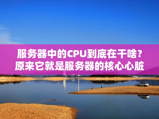 服务器中的CPU到底在干啥？原来它就是服务器的核心心脏！