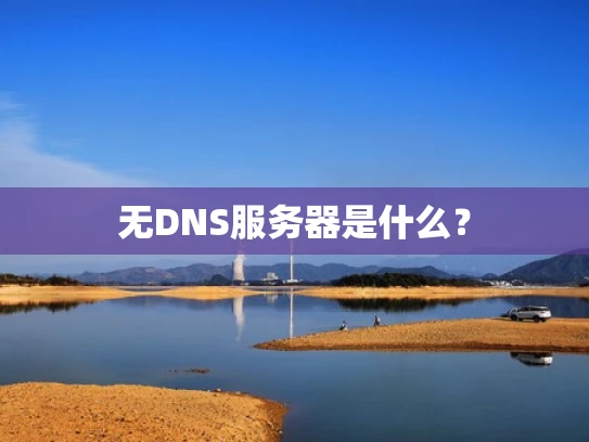 无DNS服务器是什么？