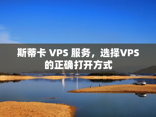 斯蒂卡 VPS 服务，选择VPS的正确打开方式