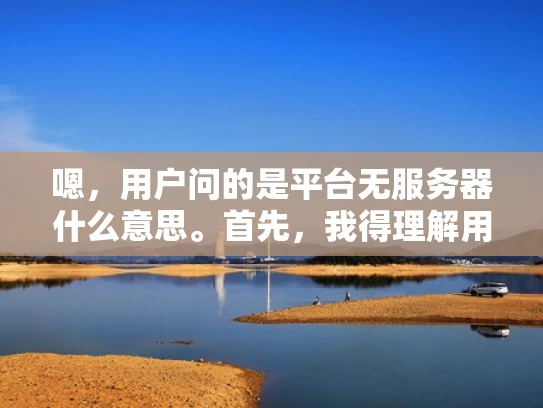 嗯，用户问的是平台无服务器什么意思。首先，我得理解用户的问题。可能他们是在使用某个平台，但不清楚这个平台是否有自己的服务器。也许他们在考虑选择服务或者了解平台运作