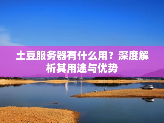 土豆服务器有什么用？深度解析其用途与优势