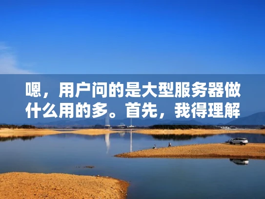 嗯，用户问的是大型服务器做什么用的多。首先，我得理解用户的需求。可能用户是刚开始接触服务器，或者对服务器的应用不太了解，想了解大型服务器在哪些领域被广泛使用