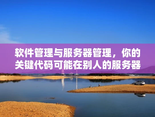 软件管理与服务器管理，你的关键代码可能在别人的服务器上运行