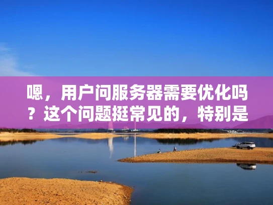 嗯，用户问服务器需要优化吗？这个问题挺常见的，特别是对于刚开始接触服务器管理的人来说。首先，我得理解用户的需求，他们可能不太清楚服务器优化的具体内容，或者他们想确认是否有必要进行优化