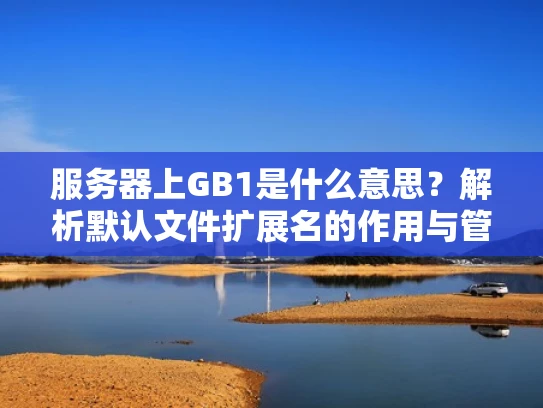 服务器上GB1是什么意思？解析默认文件扩展名的作用与管理