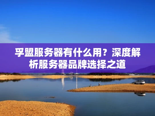 孚盟服务器有什么用？深度解析服务器品牌选择之道