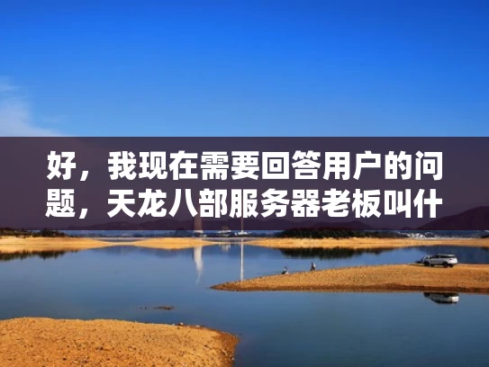 好，我现在需要回答用户的问题，天龙八部服务器老板叫什么。首先，这个问题看起来是关于天龙八部这款游戏的服务器管理。用户可能是一个游戏服务器管理员或者对游戏服务器有疑问的玩家
