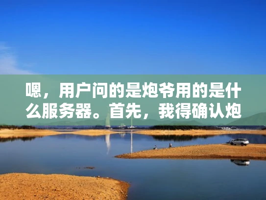 嗯，用户问的是炮爷用的是什么服务器。首先，我得确认炮爷指的是谁。可能是指某个知名人物或者特定的项目，但不确定。假设炮爷是一个比喻，可能指的是一种特定的技术或服务，比如某个框架或者平台