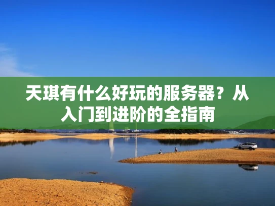天琪有什么好玩的服务器？从入门到进阶的全指南