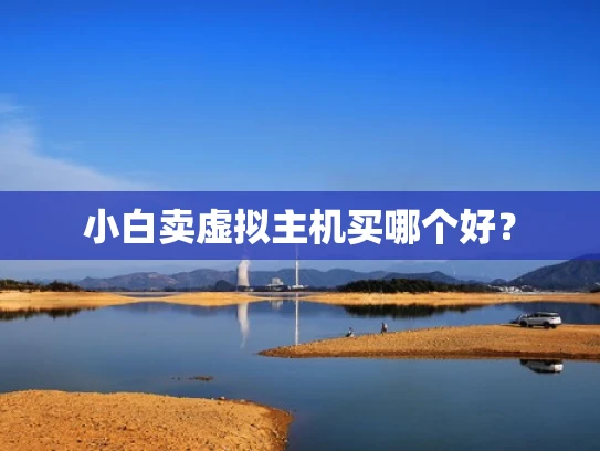 小白卖虚拟主机买哪个好？