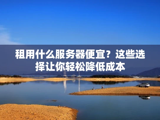 租用什么服务器便宜？这些选择让你轻松降低成本