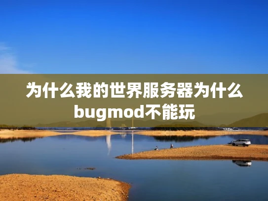 为什么我的世界服务器为什么bugmod不能玩