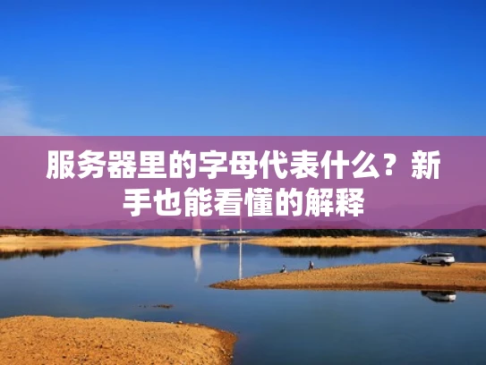 服务器里的字母代表什么？新手也能看懂的解释