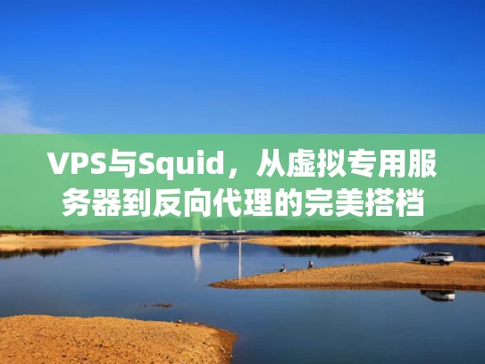 VPS与Squid，从虚拟专用服务器到反向代理的完美搭档