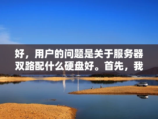 好，用户的问题是关于服务器双路配什么硬盘好。首先，我需要明确用户的需求。他们可能是一个刚开始搭建服务器的人，或者是一个有一定经验的技术人员，想优化服务器的性能