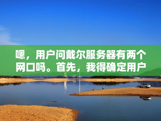 嗯，用户问戴尔服务器有两个网口吗。首先，我得确定用户的问题是什么。戴尔服务器可能有不同的型号，所以需要先了解用户具体使用的是哪款戴尔服务器。网口数量可能因型号而异，所以可能需要列出几种常见配置