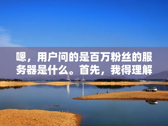 嗯，用户问的是百万粉丝的服务器是什么。首先，我得理解这个粉丝是什么意思。可能用户是想说百万用户或者百万粉丝，但不管怎样，他们可能是在问高流量服务器是什么，或者他们可能是在寻找处理大量访问的服务器配置