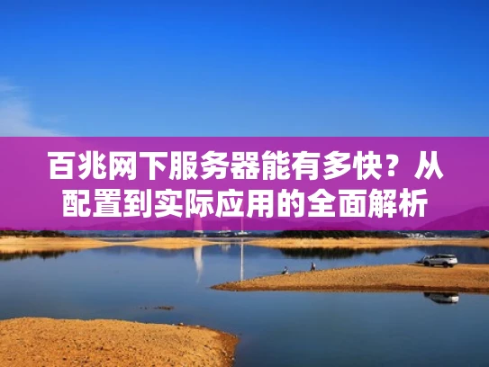 百兆网下服务器能有多快？从配置到实际应用的全面解析
