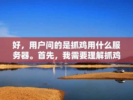 好，用户问的是抓鸡用什么服务器。首先，我需要理解抓鸡是什么意思。可能是指在游戏或者某个应用中获取鸡的道具或者资源。如果是游戏的话，服务器类型可能会根据游戏的类型和规模有所不同