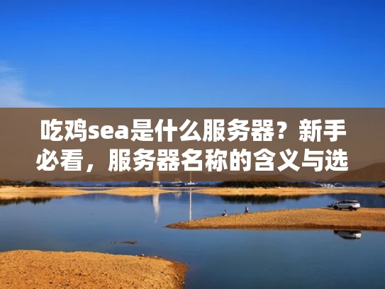 吃鸡sea是什么服务器？新手必看，服务器名称的含义与选择