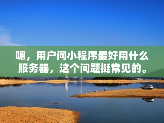 嗯，用户问小程序最好用什么服务器，这个问题挺常见的。首先，我得考虑小程序的特点。小程序通常体积不大，开发周期短，用户使用频率不高，所以对性能要求不是特别高。但也不能太随意，毕竟有几点需要考虑
