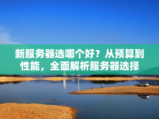 新服务器选哪个好？从预算到性能，全面解析服务器选择