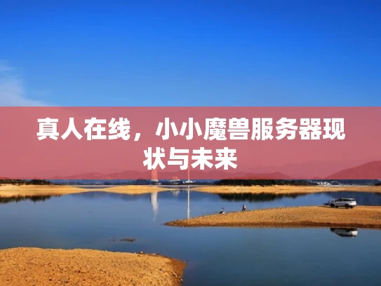 真人在线，小小魔兽服务器现状与未来